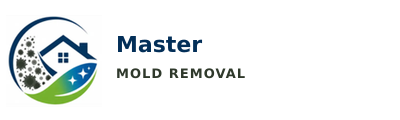 Master Mold Removal